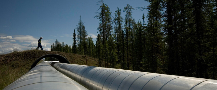 Christina Lakes Wildlife Xing.jpg