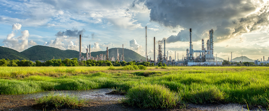 Environment-Green-Grass-Carbon-Capture 800.jpg