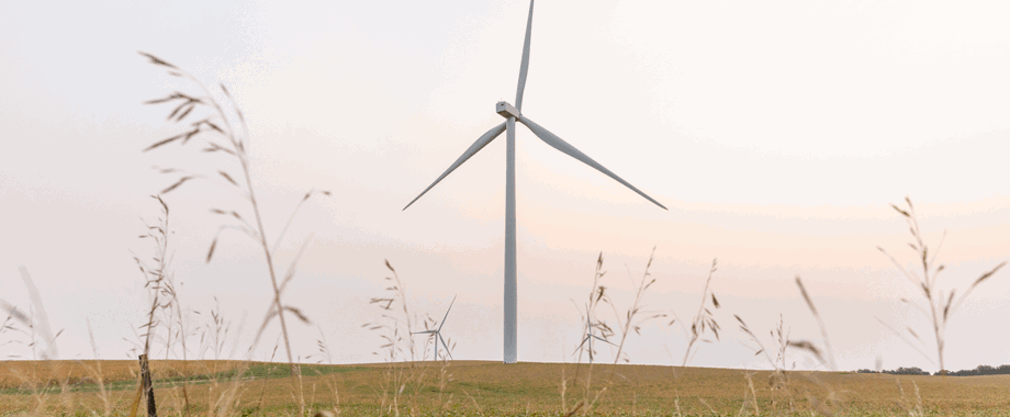 orsted wind farm.png