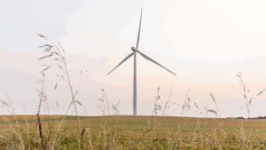 Orsted has multiple wind farms in the United States.