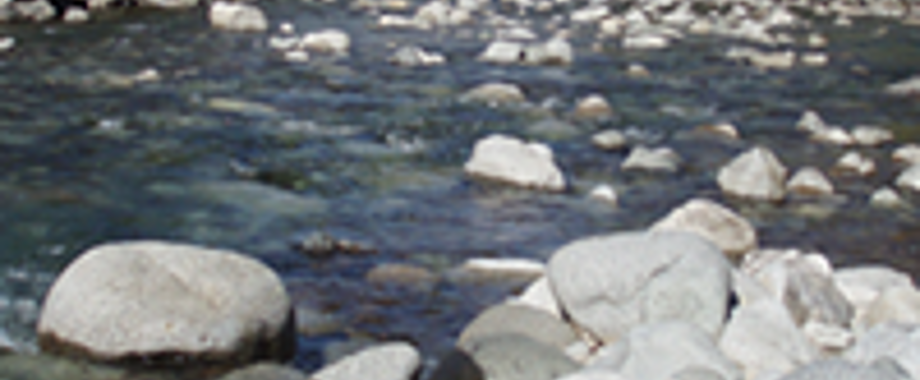 westcoast pipeline.png