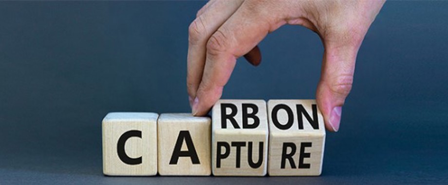 Carbon stock_newsletter.jpg